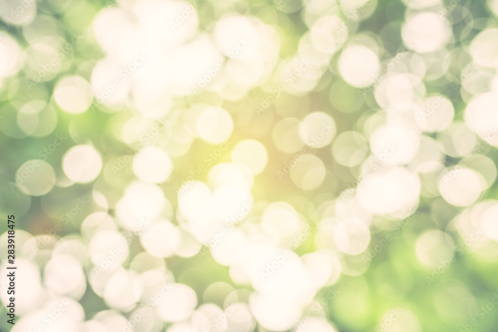 Obraz premium Green bokeh background of nature leaves. Abstract blur image. 