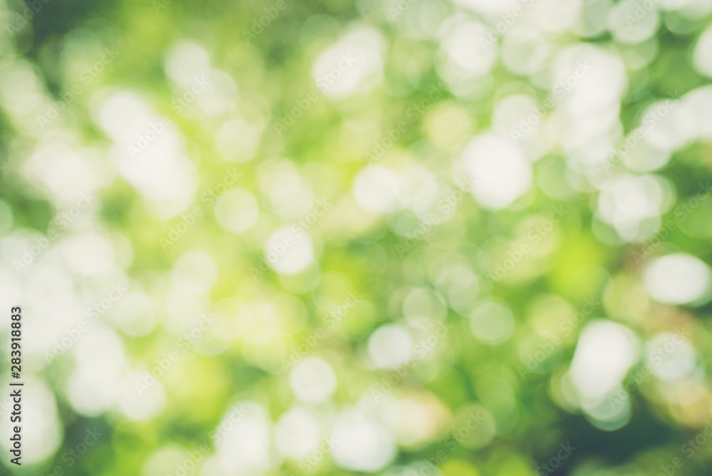 Green bokeh background of nature leaves. Abstract blur image. Green bokeh background of nature leaves. Abstract blur image.