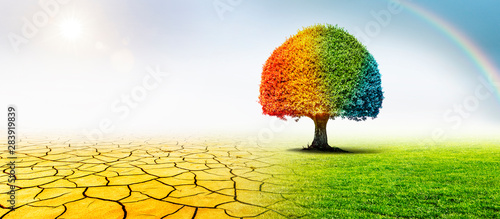 Bunter Baum mit Schild "Future" und "Past" in einer Landschaft