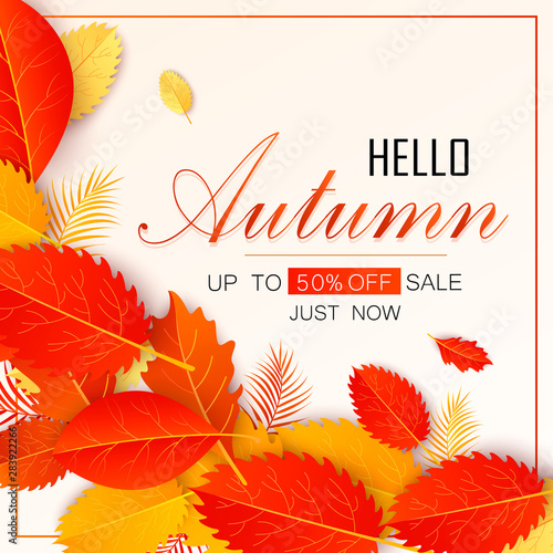 Autumn sale background layout decorate with leaves for shopping sale or promo poster and frame leaflet or web banner.Vector illustration template. Vector illustration EPS 10