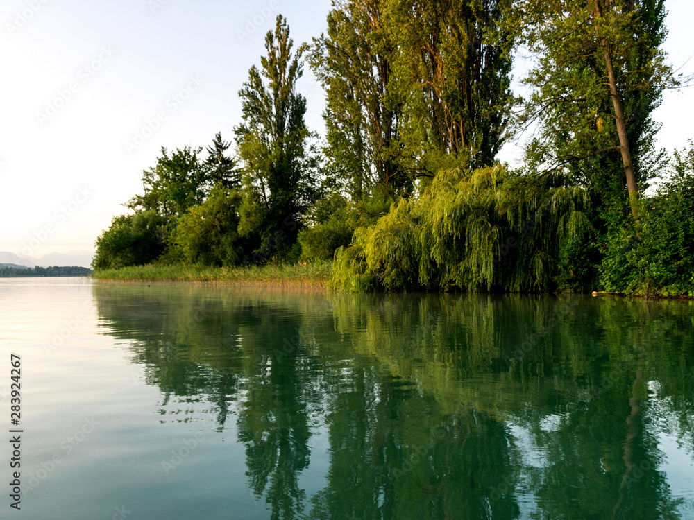 Obraz premium view of the lake at dawn early in the morning, the shore overgrown with trees