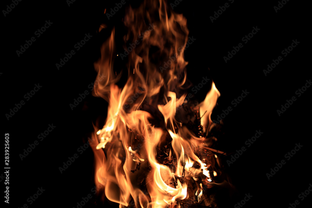 Fire bonfire on a black background, natural flame Fire bonfire on a black background, natural flame