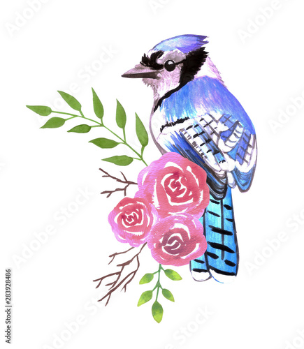 Blue Jay bird with red roses and twigs watercolor birds painting photo