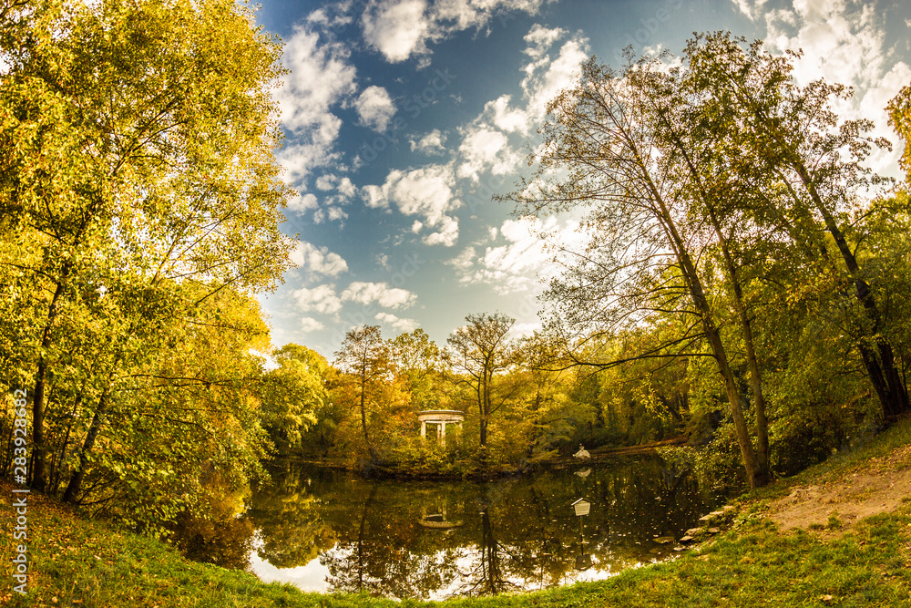 Obraz premium Autumn Leaves