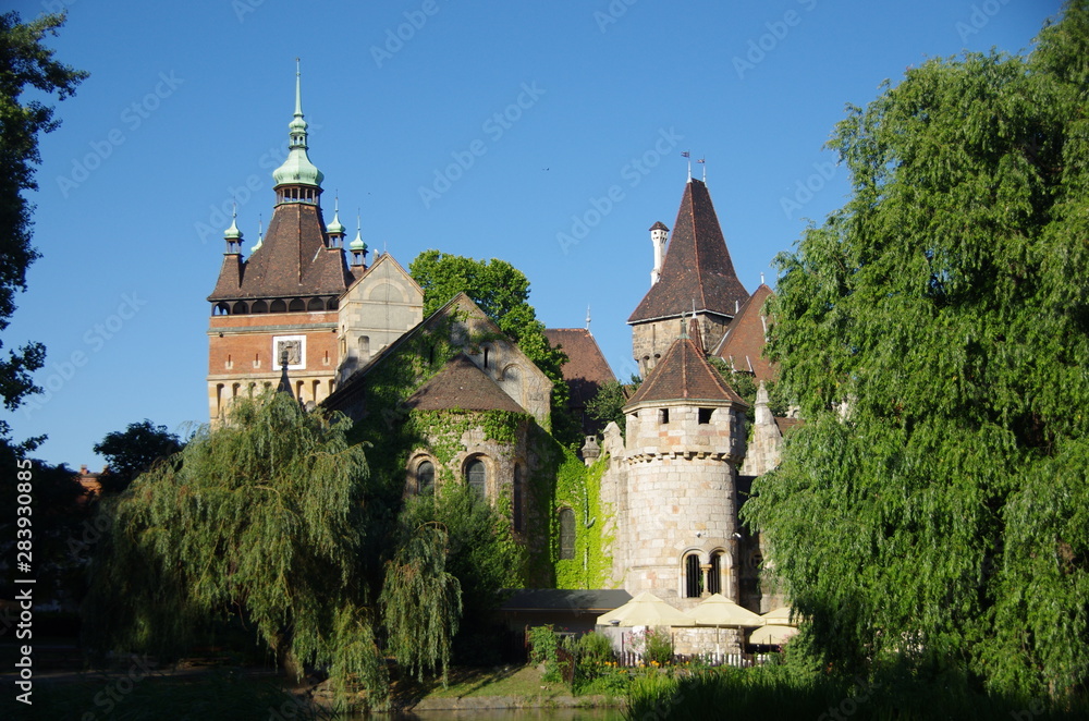 castle in Budapest castle in Budapest