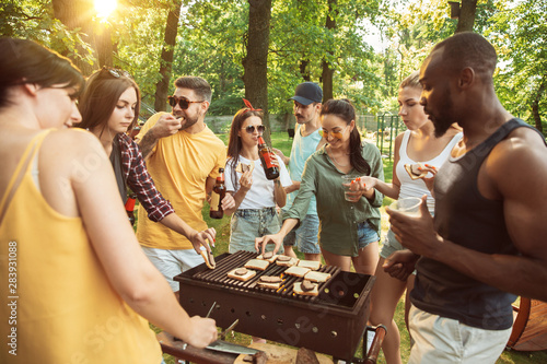 Photography Group of happy friends having beer and barbecue party at sunny day