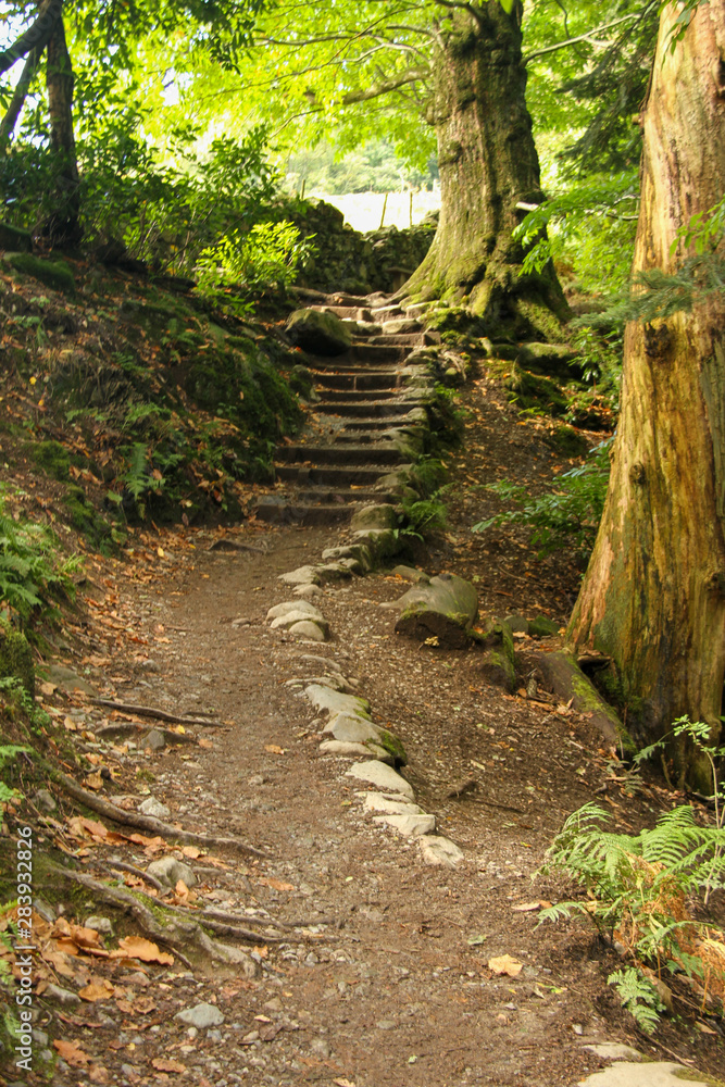Hiking trail at Aria Force in the Lake District Hiking trail at Aria Force in the Lake District