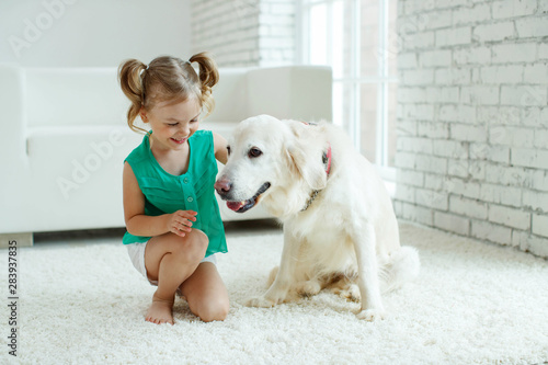 Fototapeta Naklejka Na Ścianę i Meble -  A child with a dog. Girl with a Labrador at home. 