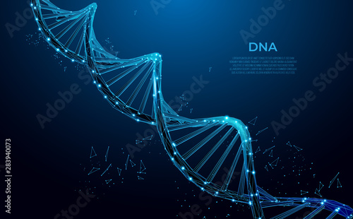 DNA. Abstract 3d polygonal wireframe DNA molecule. Medical science, genetic biotechnology, chemistry biology, gene cell concept vector illustration or background. 