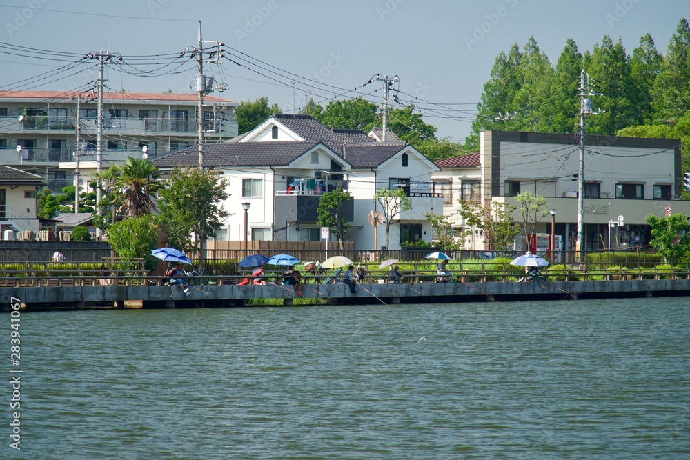 Obraz premium 水元公園