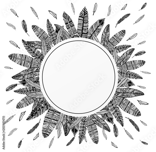 Design background with feathers