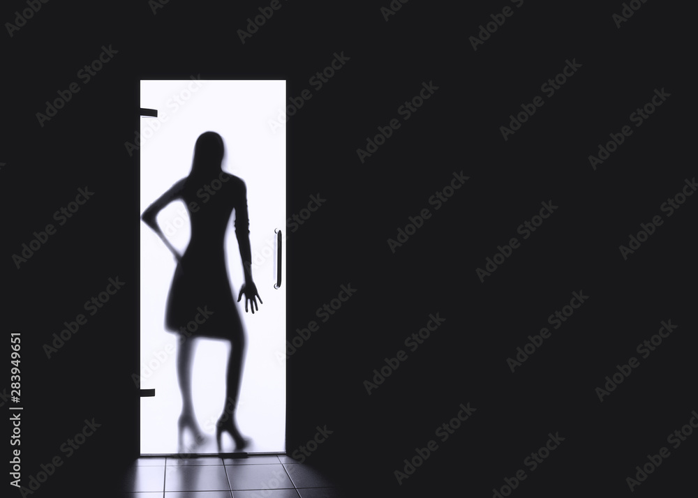 Silhouettes of the girl. Dark forces girls for copy space. Silhouettes of a girl behind a glass door.