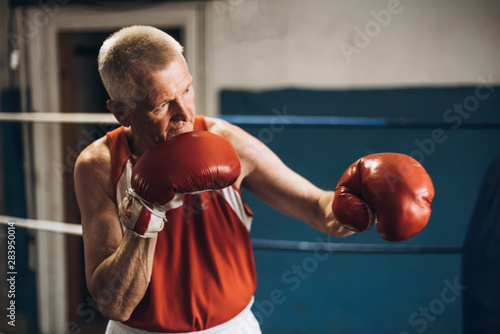 Old boxer practicing her punches at a boxing studio. Close up of a male boxer punching inside a boxing ring. photo