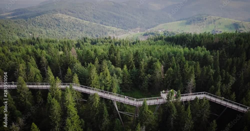 Tree-top footbridge. Bachledka. Slovakia Tree-top footbridge. Bachledka. Slovakia