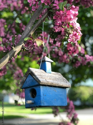 Fotografia birdhouse on the boulevard