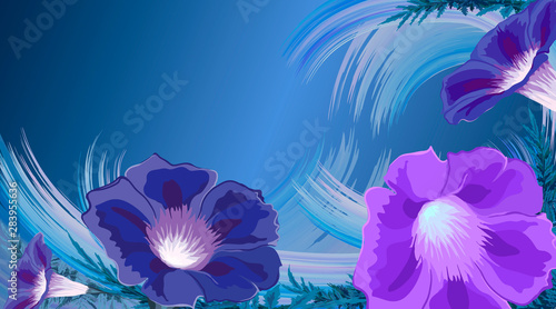 Foto bindweed flowers, leaves waves blue