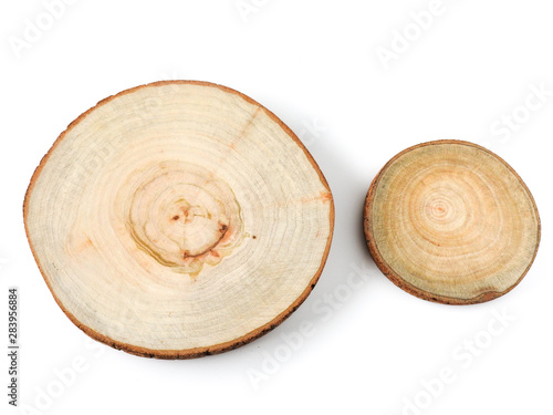Top view of two rounded wood slices isolated on white background. Big and small. With copy space. Nature and wood concept. Wood texture. Tree ring.