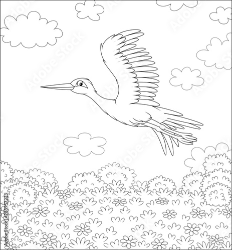 Stork flying over a meadow with wild flowers on a sunny summer day, black and white vector illustration in a cartoon style for a coloring book