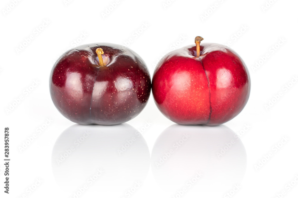 Group of two whole ripe red round plum isolated on white background