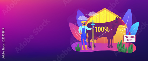 Organic agriculture industry. Eco farming, cattle breeding business. Grass fed beef, grass-finished beef, finest nutrient rich meat concept. Header or footer banner template with copy space.