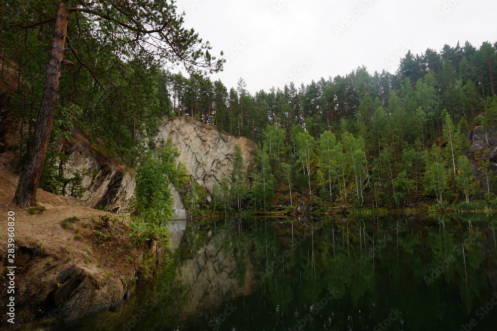 river in forest