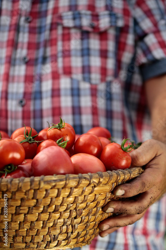 A basket full of red tomatoes held in man's hands.