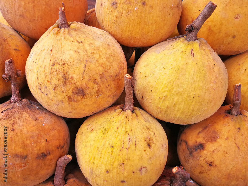 Organic fresh fruit Santol sold in Thailand's local market. Organic fresh fruit Santol sold in Thailand's local market.