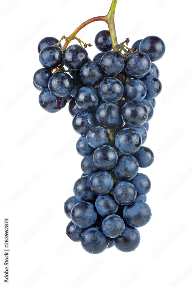 Dark blue grape isolated on white background Dark blue grape isolated on white background