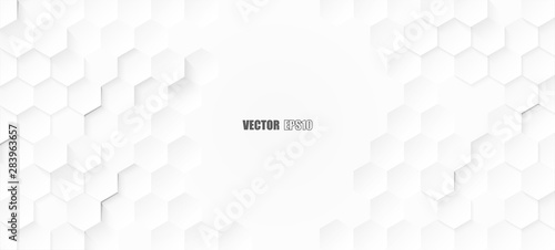 Abstract. Embossed Hexagon , honeycomb white background. light and shadow. Vector.