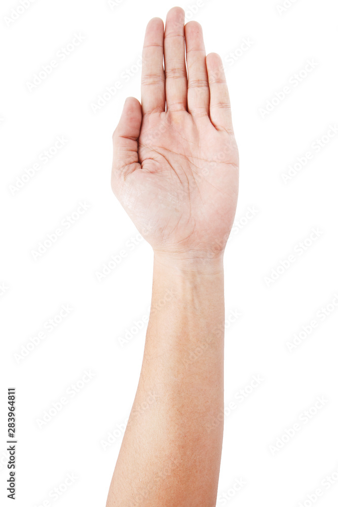 Male asian hand gestures isolated over the white background. 