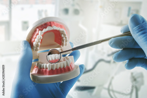 oral hygiene dental health - dentist with teeth model and mirror in hands