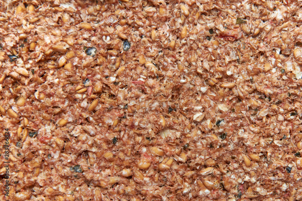 Raw bread made from wheat and tomatoes dried in a dehydrator, close-up Raw bread made from wheat and tomatoes dried in a dehydrator, close-up
