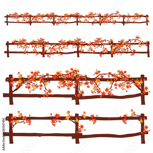 wooden fence decorated with bright autumn maple branches - fall season countryside vector design element, easily editable and modified