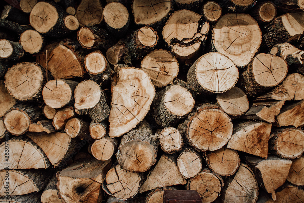Cut logs Cut logs