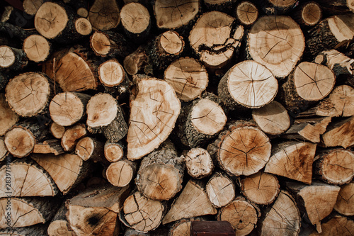  Cut logs