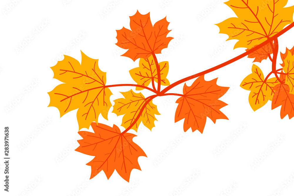 autumn leaves set, isolated on white background. simple cartoon flat style, vector illustration autumn leaves set, isolated on white background. simple cartoon flat style, vector illustration