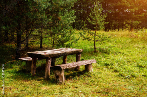 Two old wooden benches and a table in the forest in the green grass. Picnic in the forest.