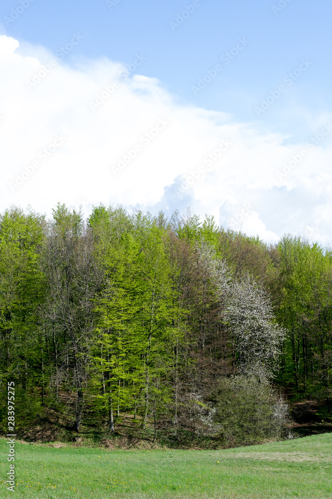 Detail of the landscape seen from the 