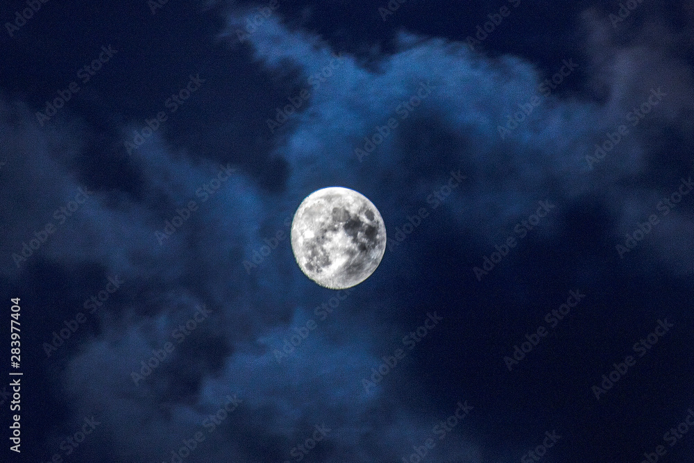 moon in summer night