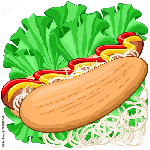 hotdog, food, sandwich, delicious, snack, hungry, break, fastfood, sausage, salami, sauce, mustard, ketchup, salad, greensalad, onions, lettuce, lunch, meat, cuisine, traditional, kitchen, menu, dinne