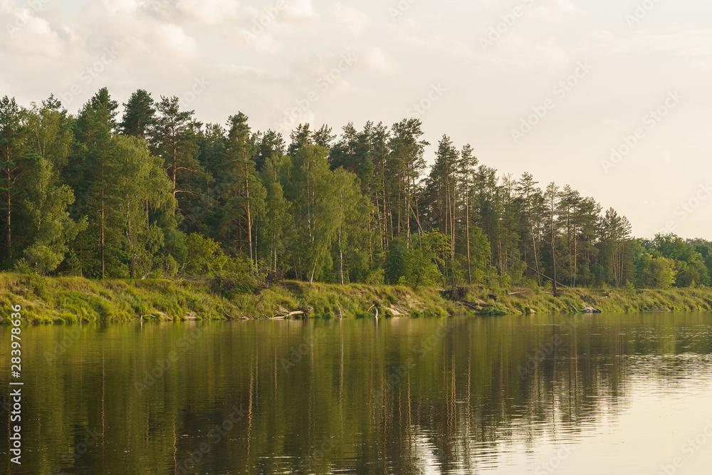 Obraz premium river and forest on the shore at sunset