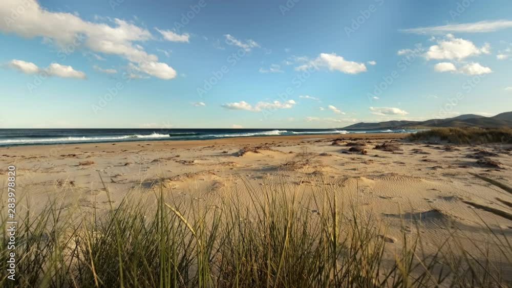 Dolly in view through high grass of common empty beach landscape. Dolly in view through high grass of common empty beach landscape.