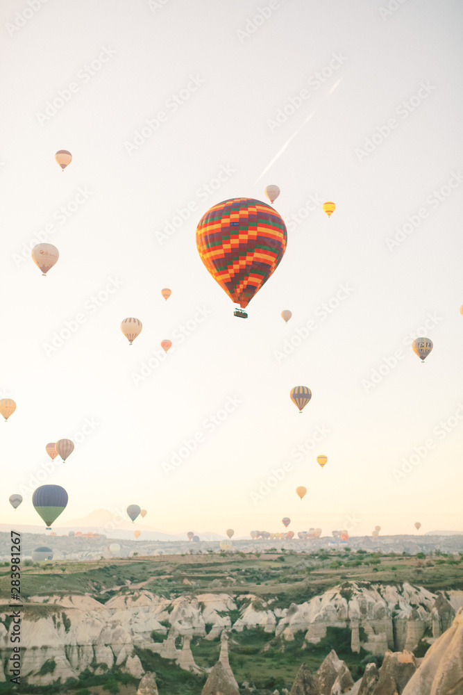 Obraz premium Panoramic view. Colorful hot air balloons flying over the valley at Cappadocia