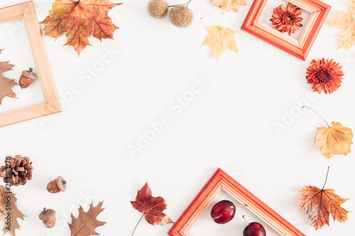 Autumn creative composition. Flowers  plum  fruit  leaves on white background. Fall  autumn background. Thanksgiving Day concept. Flat lay  top view  copy space