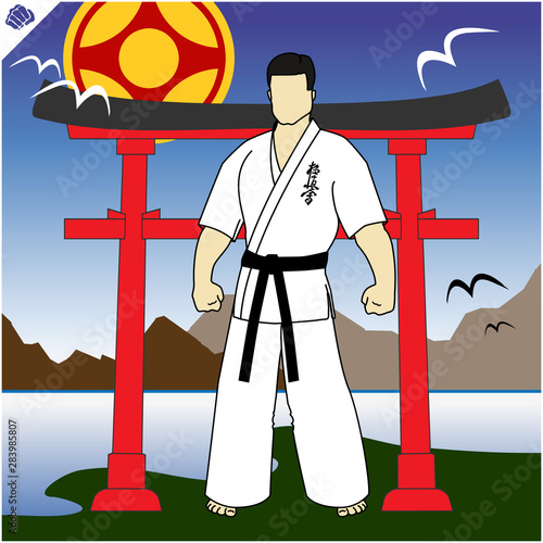 Karate emblem. Martial art creative colored simbol design. Vector, EPS.