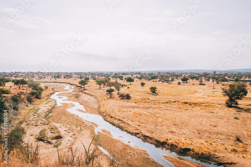 African animals and wildlife in Tanzania on safari