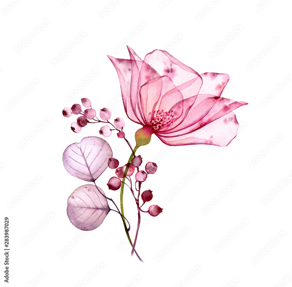 Transparent floral set isolated arrangement of big pink rose flower,  berries, leaves, branches in pastel grey, violet, purple, vintage ornament,  wedding design, stationery card print Stock Illustration | Adobe Stock