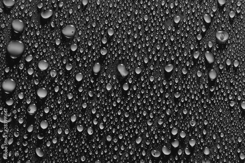 Fresh water drops, black background