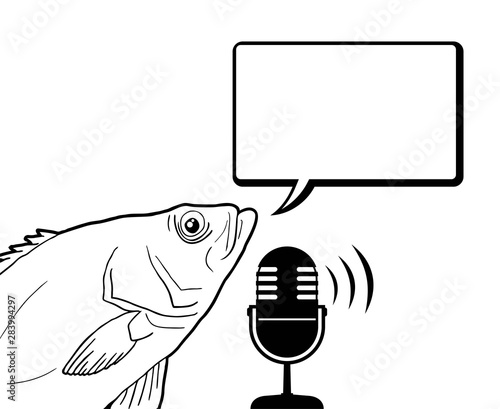 funny fish talking