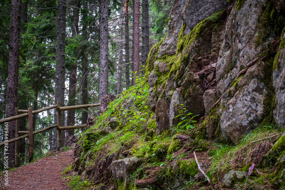 Road in the forest with stones covered with moss Road in the forest with stones covered with moss